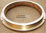 Кольцо шиберное Putzmeister