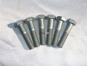 Болт крышки суппорта Cifa 506
