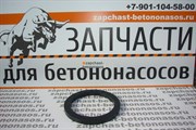 Уплотнение суппорта шибера Putzmeister